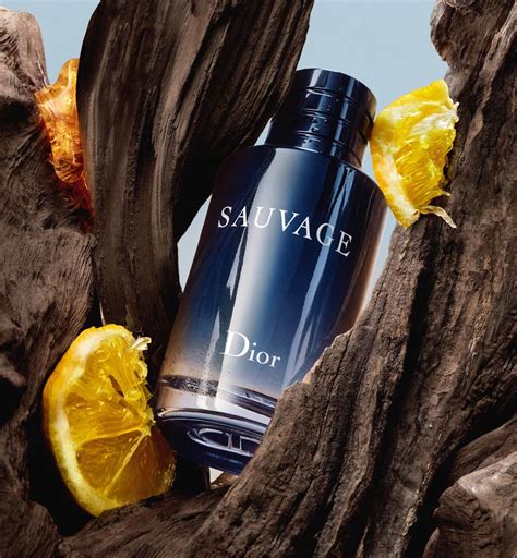 cd sauvage eau de toilette|sauvage by dior.